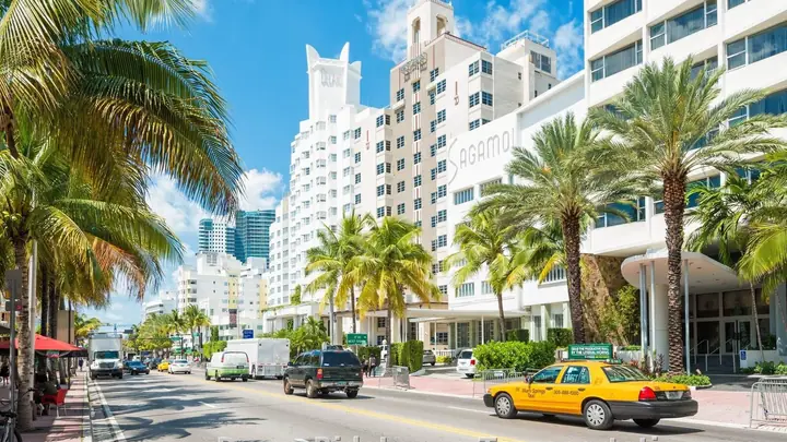5 Miami Hot Spots to Head to This Summer