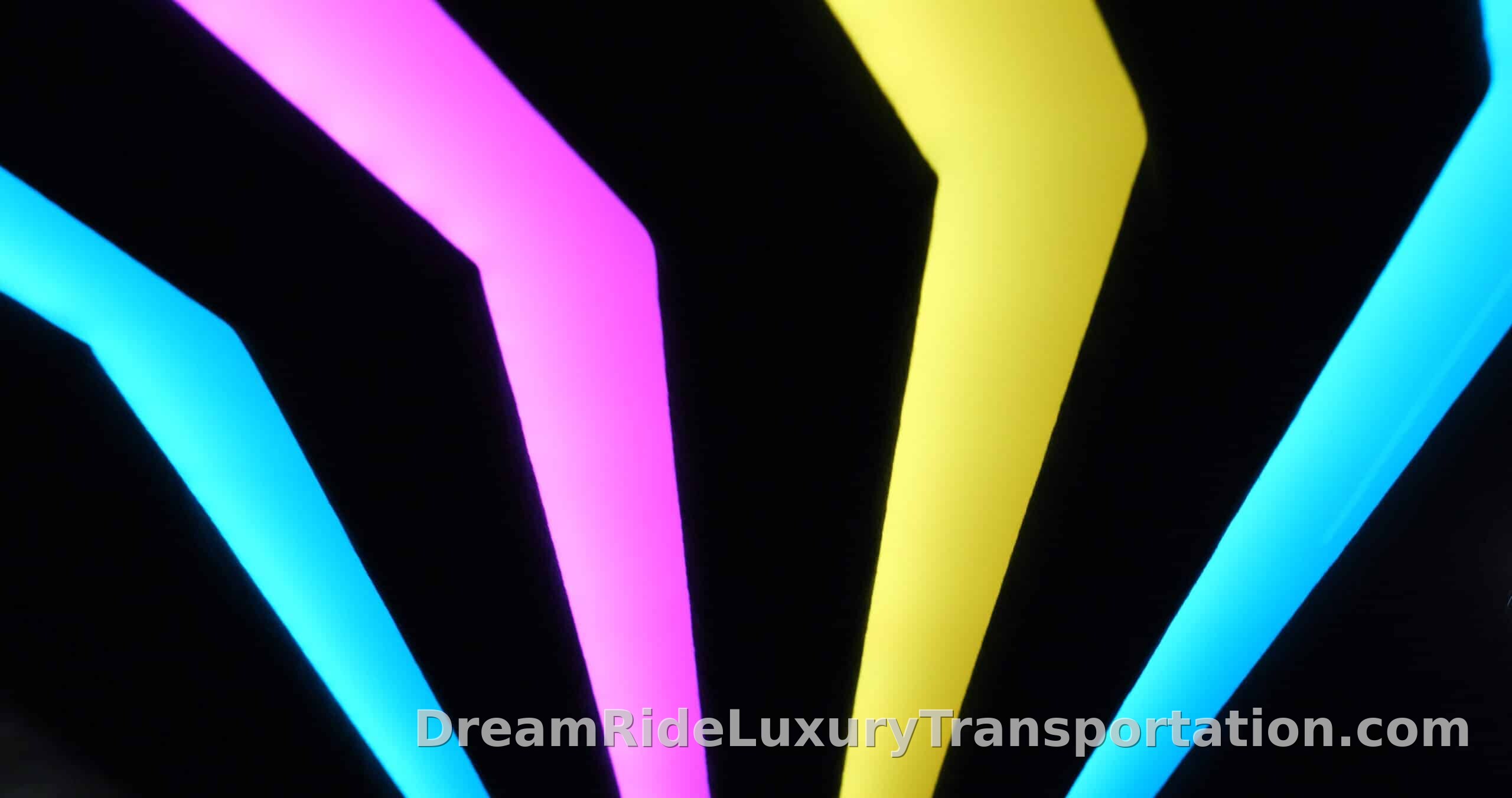 Mercedes Sprinter Black Party Bus Edition — photo 6 of 13