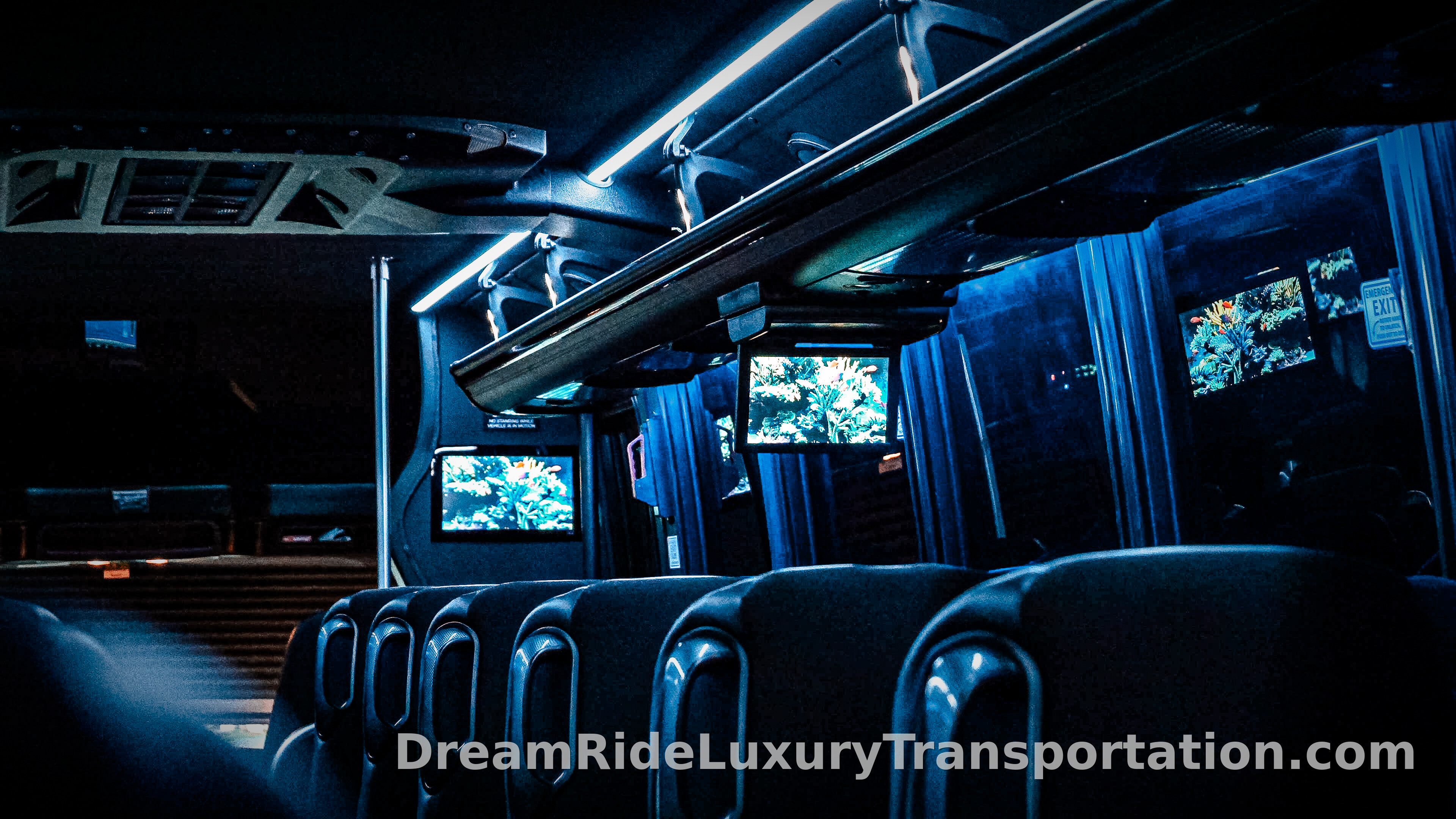 40-Passenger Executive Bus — view 5 of 5