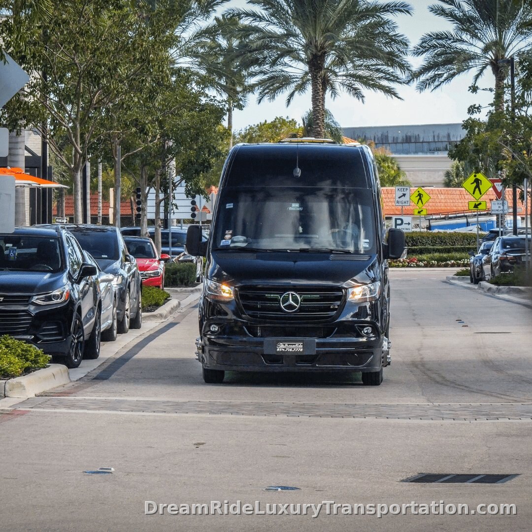 Mercedes Sprinter Black Party Bus Edition — photo 5 of 13