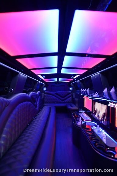 Mercedes Benz Sprinter Limo — photo 3 of 10