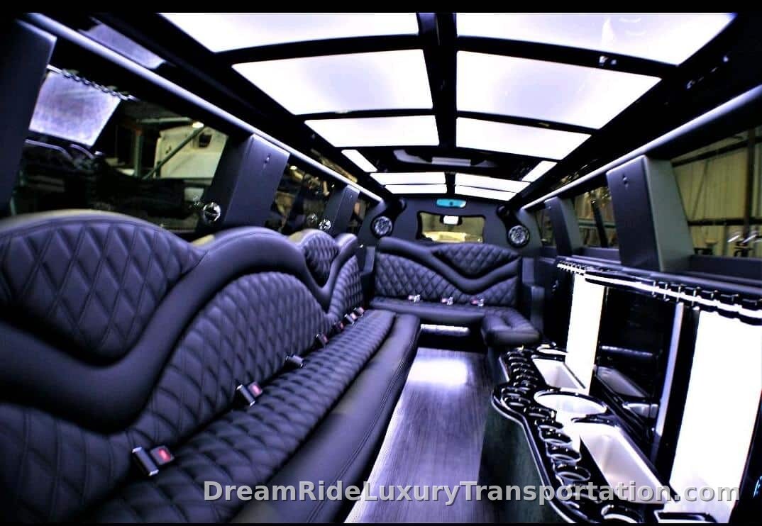 Mercedes Benz Sprinter Limo — photo 8 of 10
