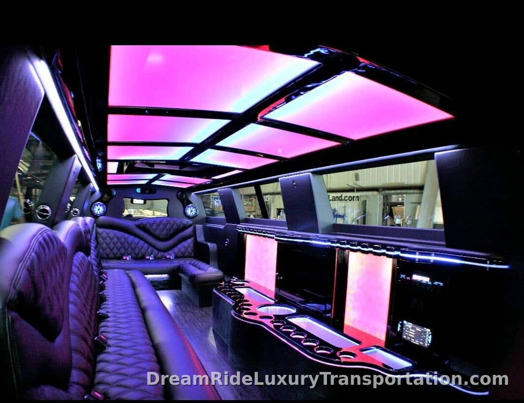 Mercedes Benz Sprinter Limo — photo 9 of 10