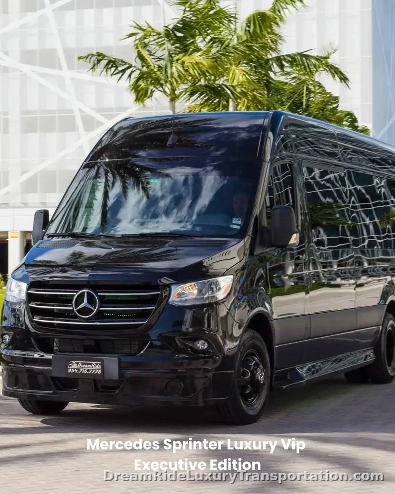DreamRide fleet — photo 13 of 22