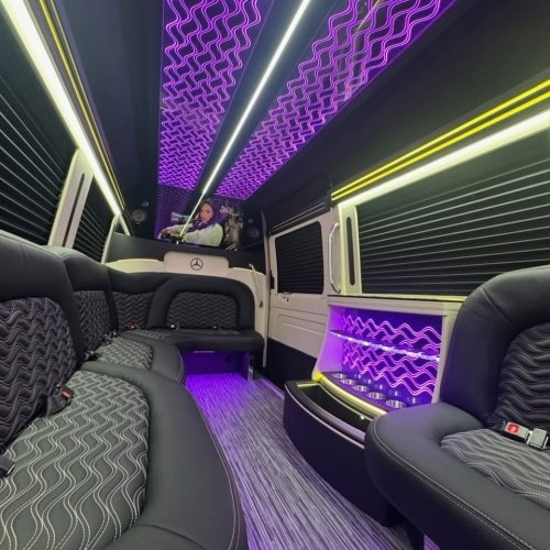 Mercedes Sprinter Black Party Bus Edition — photo 4 of 13