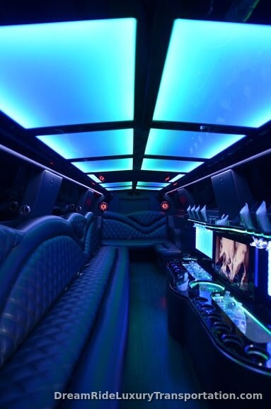 Mercedes Benz Sprinter Limo — photo 4 of 10