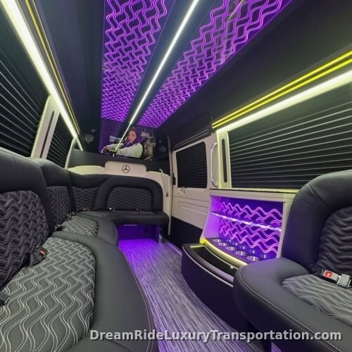Mercedes Sprinter Black Party Bus Edition — photo 4 of 13