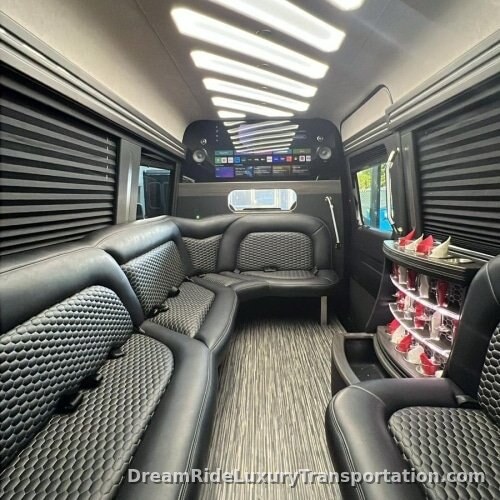 Mercedes Sprinter — Black Party Bus (14 Passenger) — DreamRide luxury fleet, South Florida