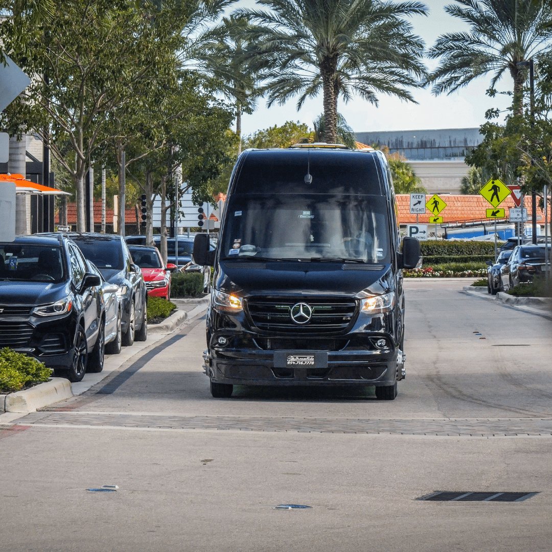 Mercedes Sprinter Black Party Bus Edition — photo 5 of 13