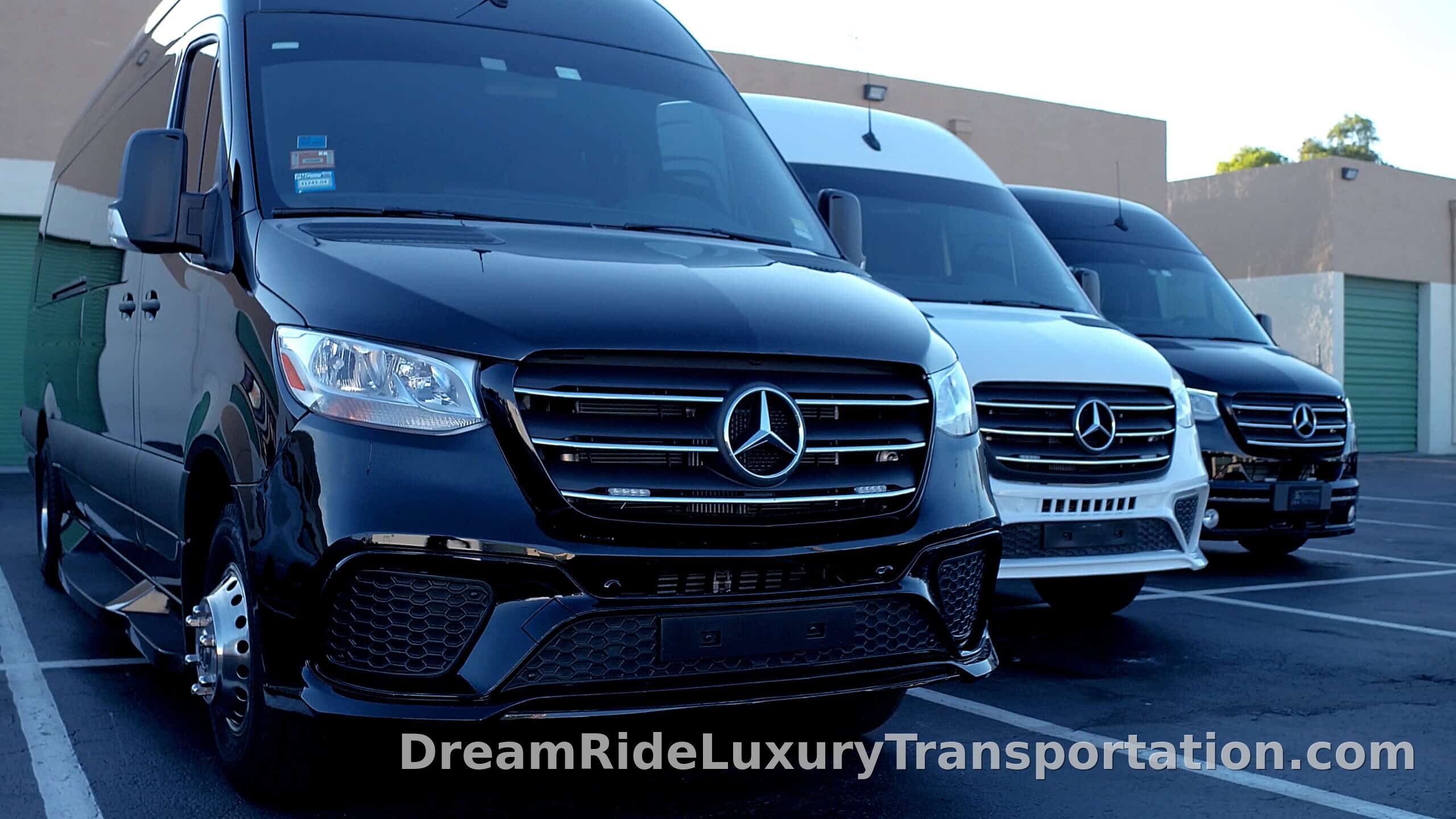 Mercedes Sprinter Executive Edition — photo 5 of 5