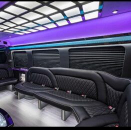 Party Bus in Palm Beach