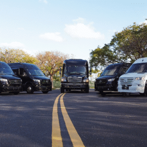 chauffeur service