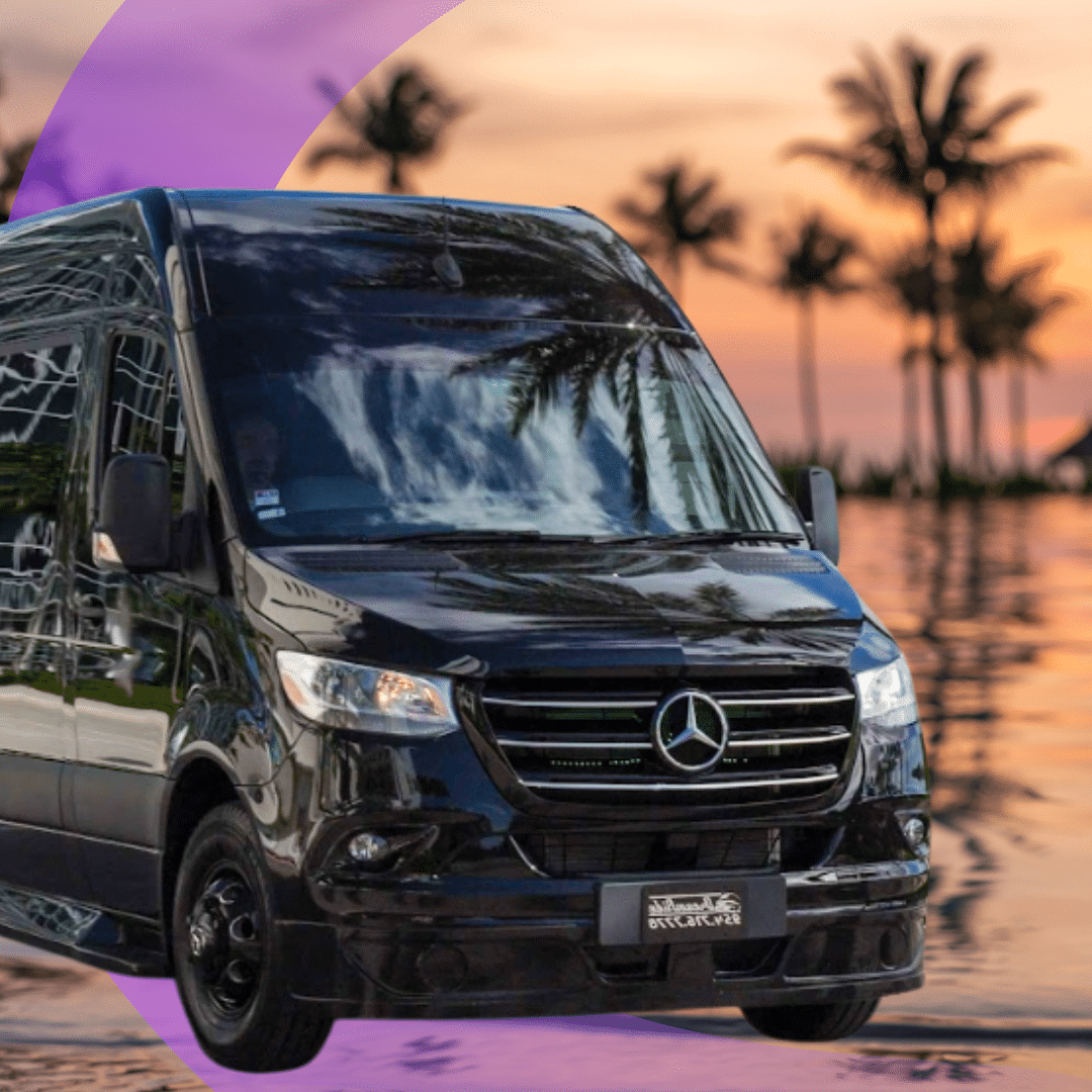 DreamRide: South Florida’s Premier Luxury Transportation Company